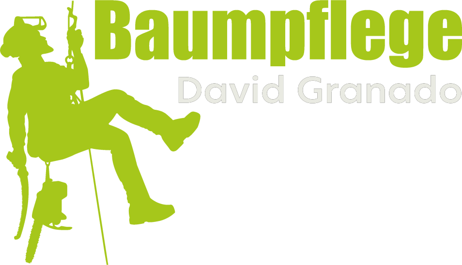 Baumpflege David Granado