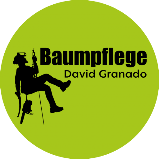 Baumpflege David Granado